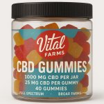 ChatGPT Image Jul 17, 2025, 12_00_39 PM.jpg